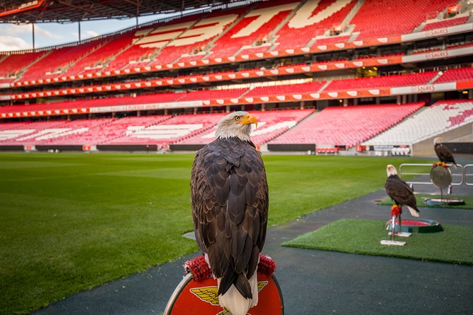 Lisbon SL Benfica Stadium & Museum Tour with Scarf - How Long to Plan: Stadium-Only vs Combo Timing