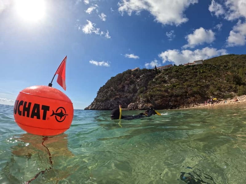 Lisbon: Snorkeling experience in Marine Reserve with photos - Marine Reserve Prof. Luiz Saldanha: Calm Waters Year-Round