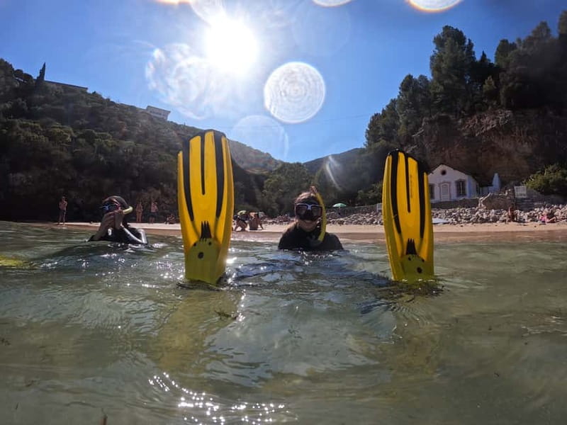 Lisbon: Snorkeling experience in Marine Reserve with photos - What 3 Hours Actually Feels Like