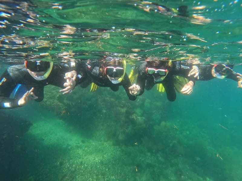 Lisbon: Snorkeling experience in Marine Reserve with photos - Wildlife and Photo Service: Seeing More Without Constant Fumbling