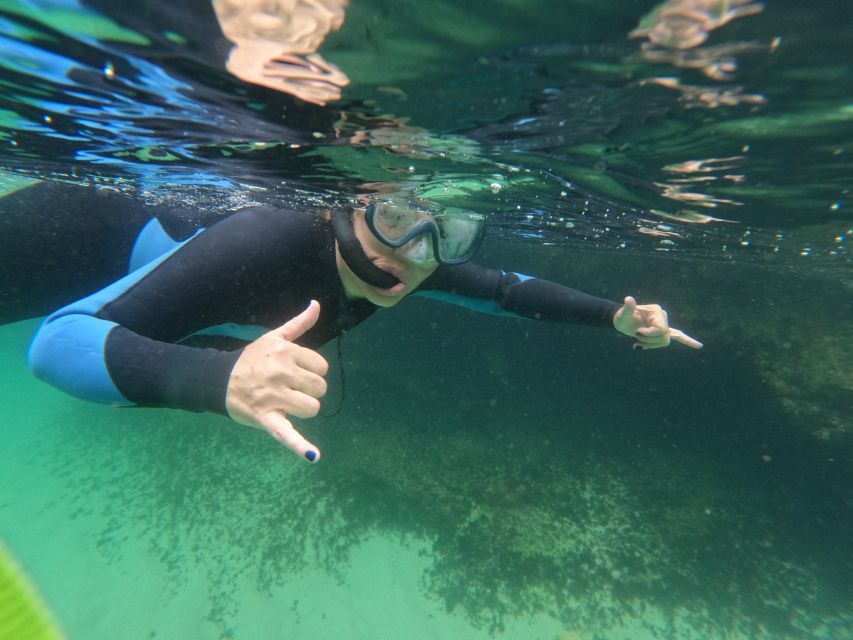 Lisbon: Snorkeling experience in Marine Reserve with photos - Meeting Point Near Clube Naval de Sesimbra: Easy to Miss, Easy to Fix