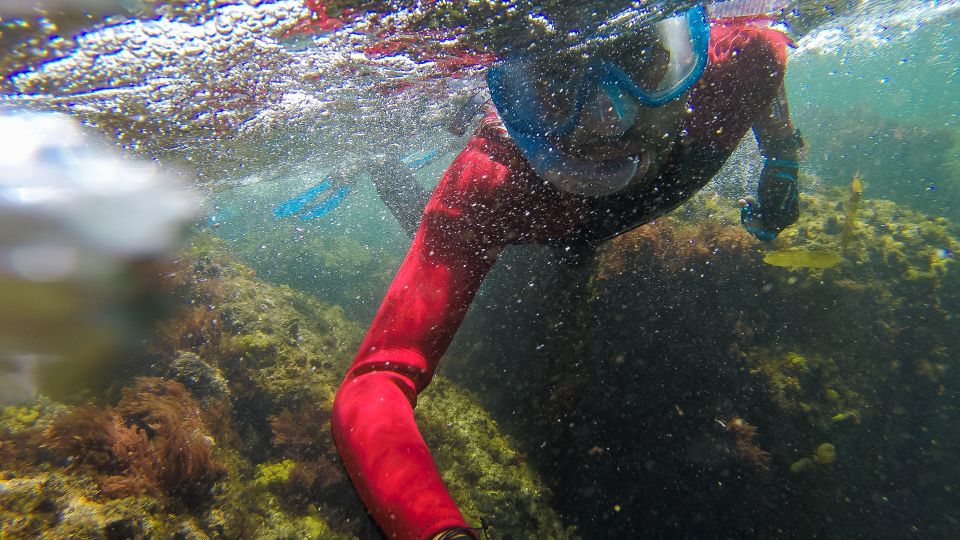Lisbon: Snorkelling in Sesimbra/Arrábida Natural Park - What to bring (so you don’t end up improvising)