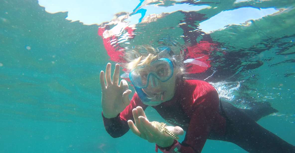 Lisbon: Snorkelling in Sesimbra/Arrábida Natural Park - The 3-hour flow: what happens from start to water time
