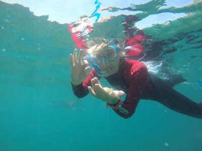 Lisbon: Snorkelling in Sesimbra/Arrábida Natural Park - Professor Luis Saldanha Marine Park: the wildlife you came for