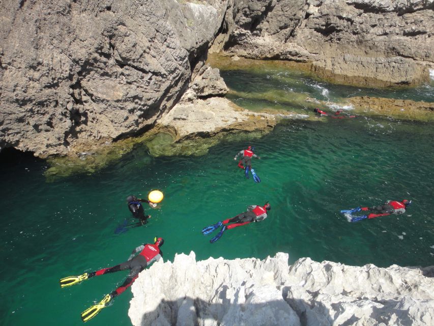 Lisbon: Snorkelling in Sesimbra/Arrábida Natural Park - Price and value: what about $70 covers