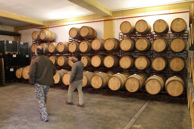 Lisbon Southern Region (Fernão Pó) Wine Tasting Private Tour - Casa Ermelinda Freitas: sandy soils, female leadership, and Castelão