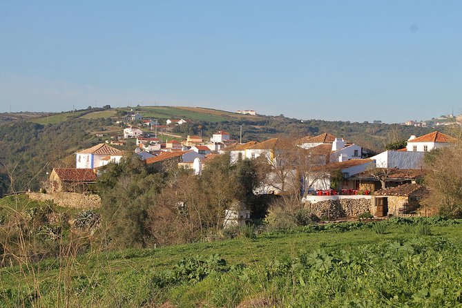 Lisbon Southern Region (Fernão Pó) Wine Tasting Private Tour - Quinta da Murta and Bucelas DOC: Arinto and Roman-era legend