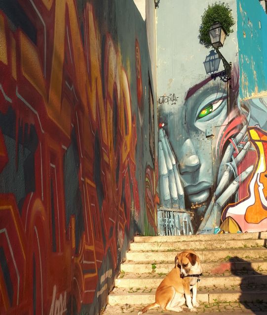 Lisbon Street Art Lovers Walk - Who this walk suits best (and who should skip it)