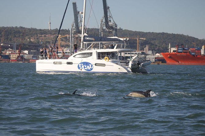 Lisbon: Sunset Cruise With Drinks on Spacious Yacht - Christ the King, Champalimaud, and the Modern Lisbon Mix