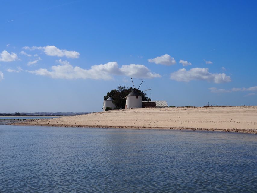 Lisbon: Tagus Estuary Nature Reserve Birdwatching Boat Tour - Key things to know before you go