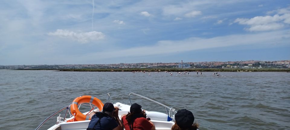 Lisbon: Tagus Estuary Nature Reserve Birdwatching Boat Tour - Why this Tagus Estuary boat tour feels different from a city outing