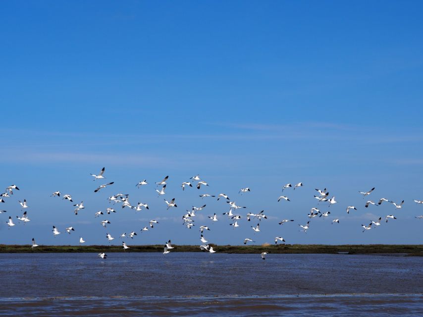 Lisbon: Tagus Estuary Nature Reserve Birdwatching Boat Tour - Bairro dos Pescadores 21: a quick scene change with more water focus
