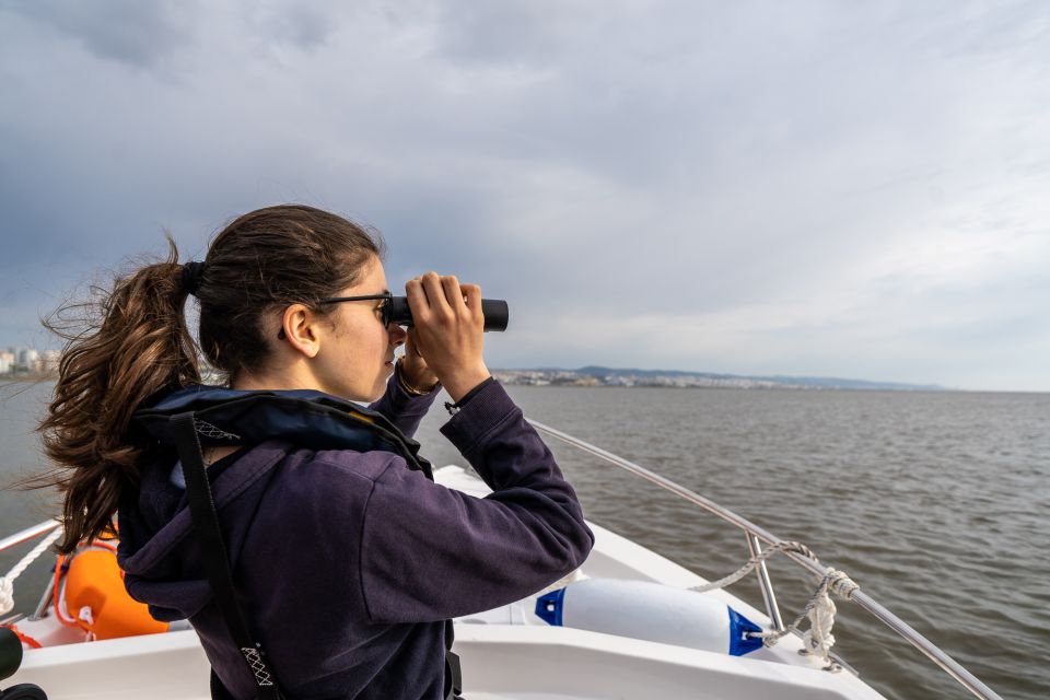 Lisbon: Tagus Estuary Nature Reserve Birdwatching Boat Tour - Mouchao da Povoa and the Vasco da Gama Bridge passes: finishing with scale