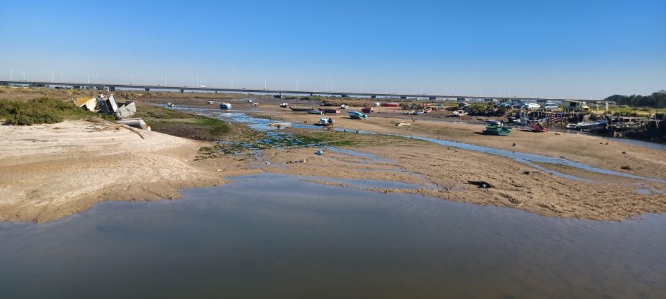 Lisbon: Tagus Estuary Nature Reserve Birdwatching Boat Tour - The guide experience: what makes Carlos Cera’s style work