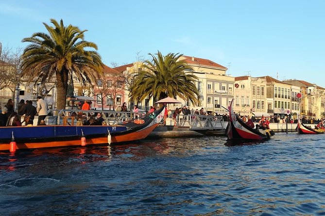 Lisbon to Porto Up to 4 Stops: Obidos, Nazare, Fatima and Aveiro - Value check: what you’re really paying for at $287.34 per person