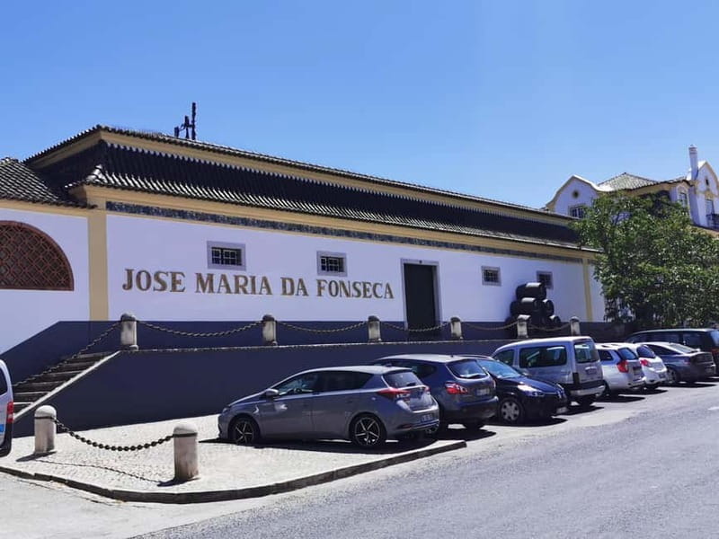 Lisbon to Wine Tasting Setubal, Two Cellars, Half Day Tour - Winery day pacing: two 1.5-hour guided visits