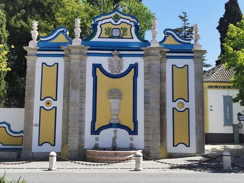 Lisbon to Wine Tasting Setubal, Two Cellars, Half Day Tour - Vineyards and viewpoints: you’re learning with your eyes