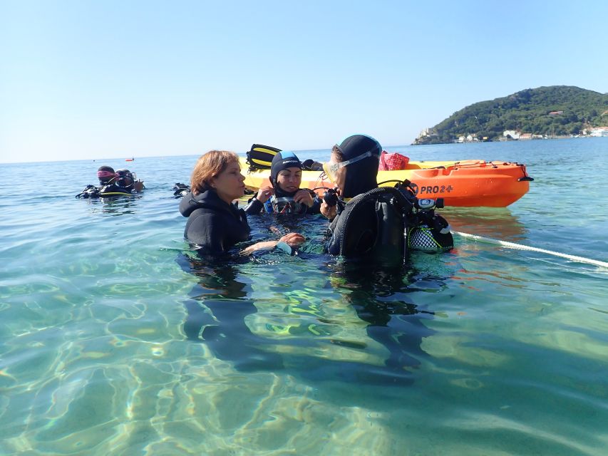 Lisbon: Try Dive in Arrábida Marine Reserve Setubal Sesimbra - Key highlights to know before you go