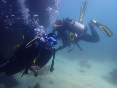 Lisbon: Try Dive in Arrábida Marine Reserve Setubal Sesimbra - The 2-hour flow: safety briefing, breathing practice, then a guided underwater session