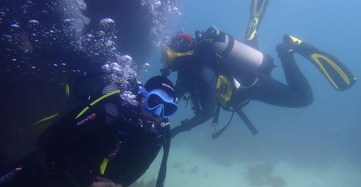 Lisbon: Try Dive in Arrábida Marine Reserve Setubal Sesimbra - Prof. Luiz Saldanha Marine Park: the conservation angle you can feel underwater