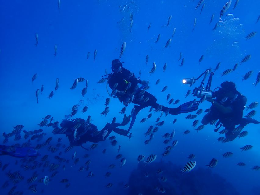 Lisbon: Try Dive in Arrábida Marine Reserve Setubal Sesimbra - Instructors, languages, and why the coaching style matters