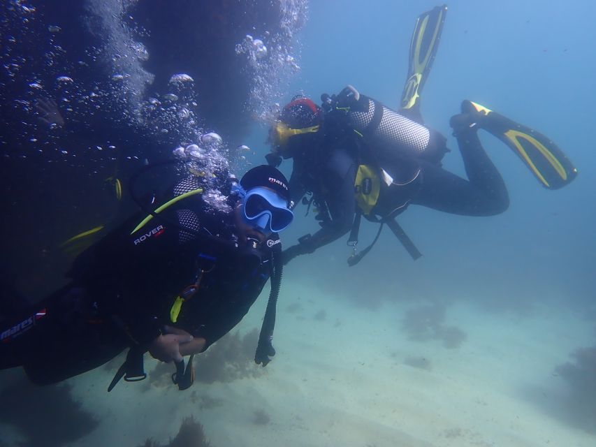 Lisbon: Try Dive in Arrábida Marine Reserve Setubal Sesimbra - The 2-hour flow: safety briefing, breathing practice, then a guided underwater session