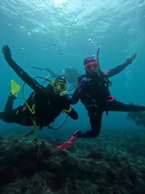 Lisbon: Try Scuba Diving in Arrábida Marine Reserve w/photos - Practical planning tips for Arrábida Marine Reserve