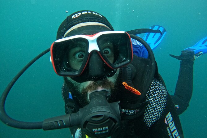 Lisbon: Try Scuba Diving in Arrabida Marine Reserve with photos - Small group size: why max 10 is a big deal