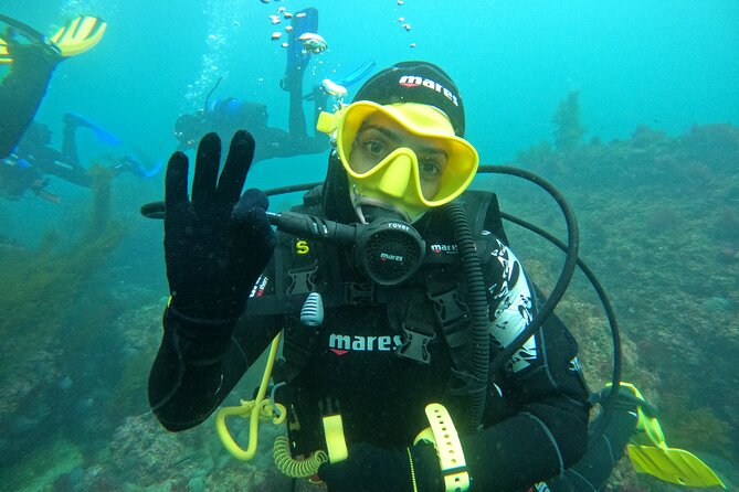 Lisbon: Try Scuba Diving in Arrabida Marine Reserve with photos - On the boat tour: what to expect before you go below