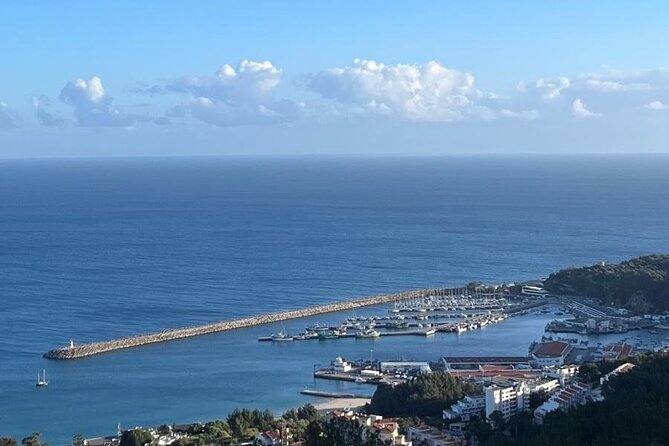 Lisbon WineTour : Premium Tastings “Wine & Food” (All-Inclusive) - Arrábida Natural Park and Fort of St. Philip views that reset your brain