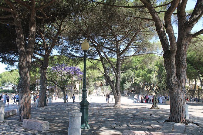 Lisbon´s Private Walking Sightseeing Tour - Lisbon Cathedral and the Holy Door: why one church matters