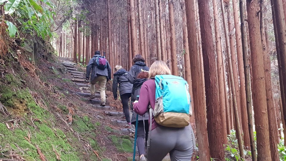 Lomba de São Pedro: Waterfall Hiking Tour with Tea Tasting - What To Bring (So Rain and Cold Don’t Ruin Your Day)