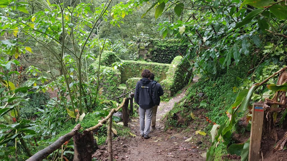 Lomba de São Pedro: Waterfall Hiking Tour with Tea Tasting - A Long Day That Stays Worth It: 8 Hours of Tea and Waterfalls