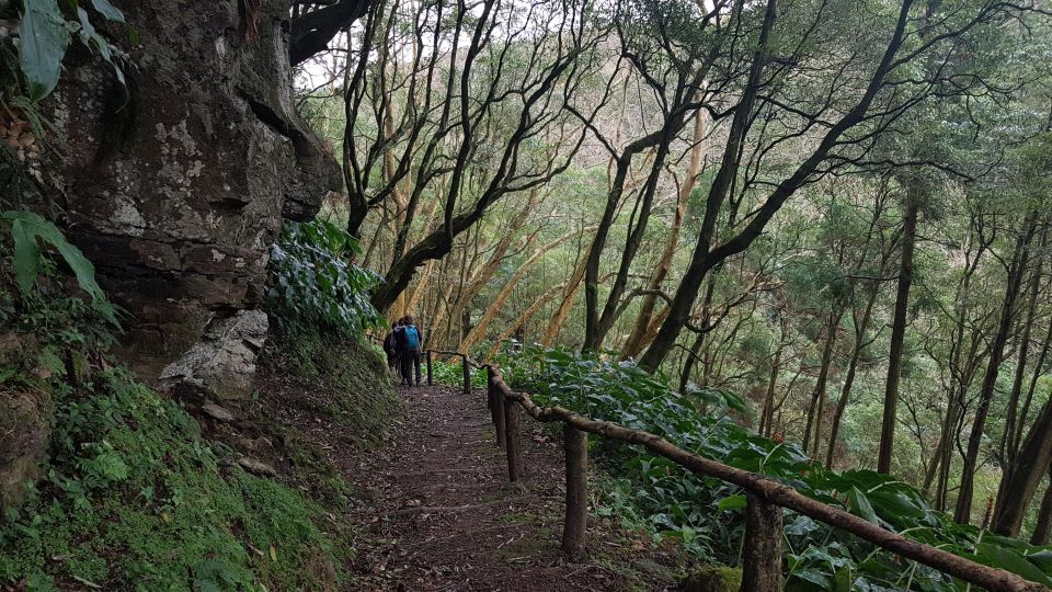 Lomba de São Pedro: Waterfall Hiking Tour with Tea Tasting - Lomba de São Pedro Trail: Hydrangeas, Watermills, and Three Waterfall Moments