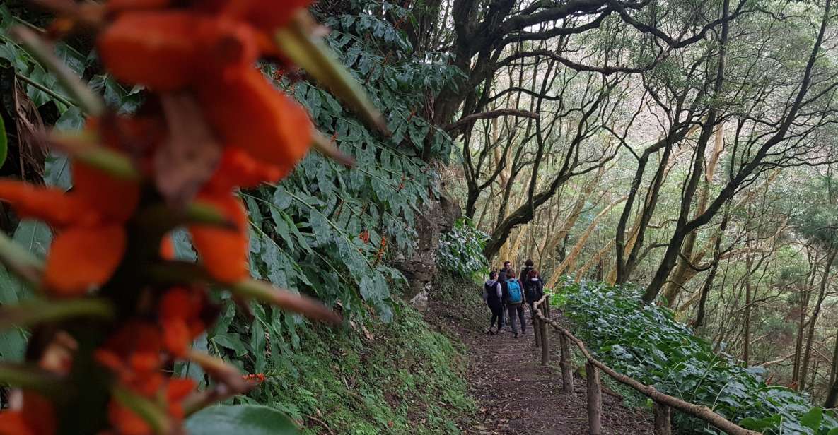 Lomba de São Pedro: Waterfall Hiking Tour with Tea Tasting - Picnic Lunch Reset: Eating Outside with a View