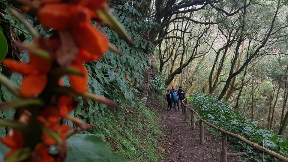 Lomba de São Pedro: Waterfall Hiking Tour with Tea Tasting - Ribeira dos Caldeirões Natural Park: The Big Waterfall Finish