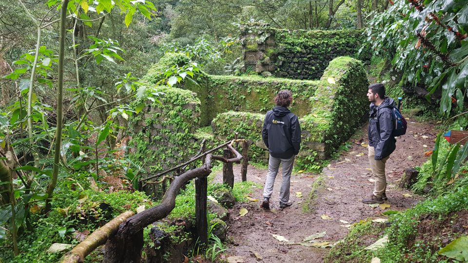 Lomba de São Pedro: Waterfall Hiking Tour with Tea Tasting - Santa Iria Viewpoint: One Last Look Back at the Island