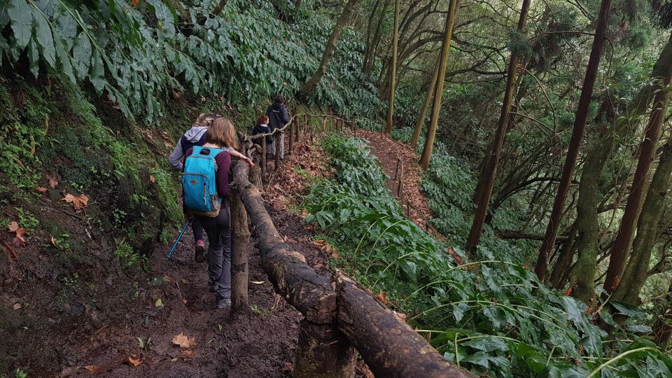 Lomba de São Pedro: Waterfall Hiking Tour with Tea Tasting - Guides Make the Day: Safety, Flora Talk, and Real Attention