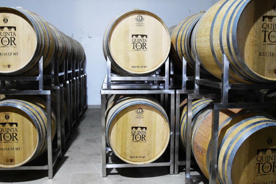 Loulé: Quinta da Tôr Winery Guided Tour and Wine Tasting - Wine tasting outside near the infinity pool