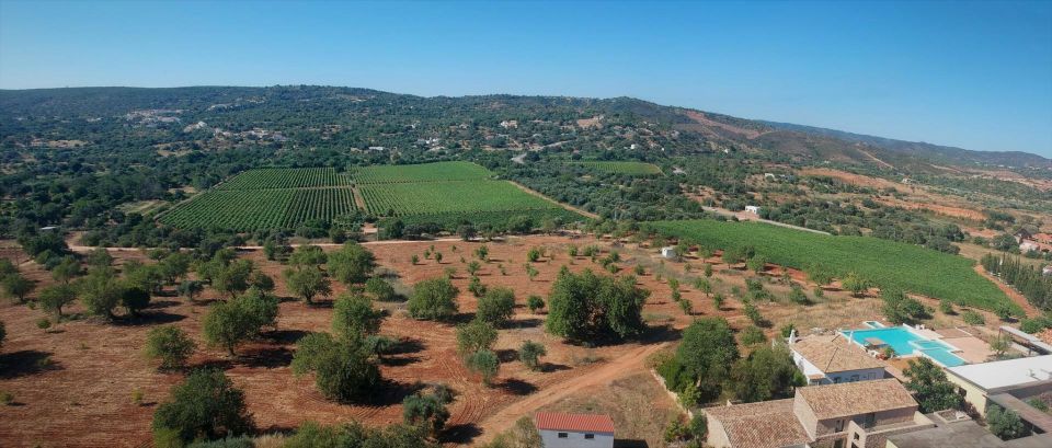 Loulé: Quinta da Tôr Winery Guided Tour and Wine Tasting - Bread, olive oil, and optional extras you can add on