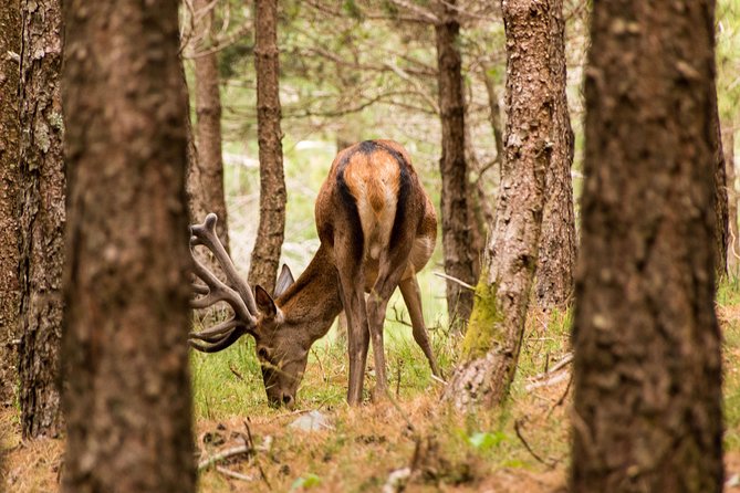 Lousa Mountain Private Tour - When the route includes extra surprises