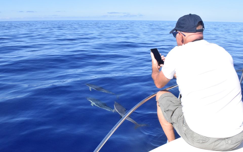 Madeira: 2.5-Hour Whale and Dolphin-Watching Cruise - Sunset departures: snorkeling, not whale watching