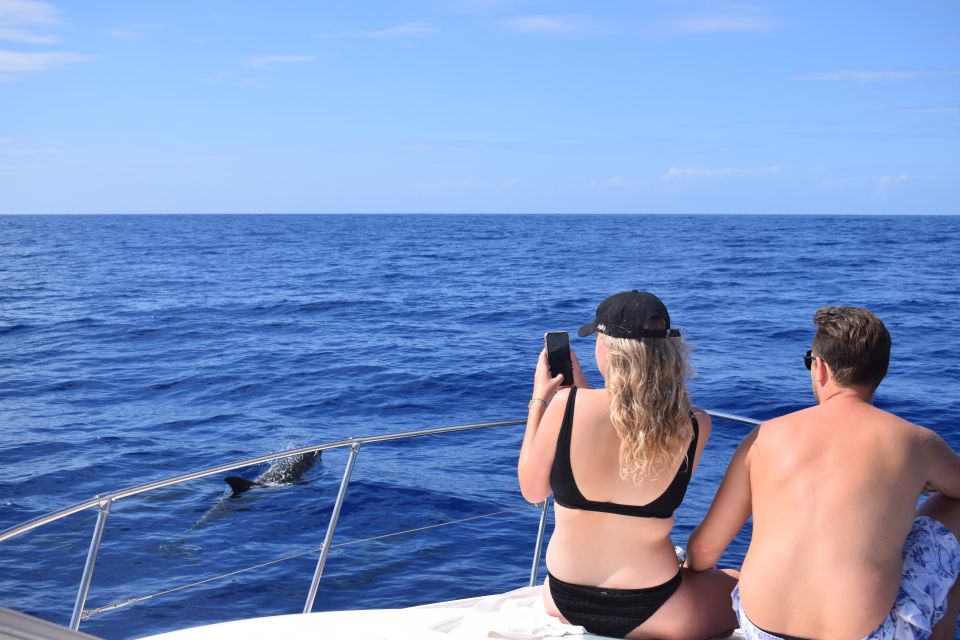 Madeira: 2.5-Hour Whale and Dolphin-Watching Cruise - Drinks, photos, and the little touches that turn it into a real outing
