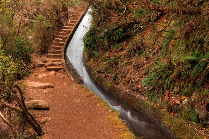 Madeira 4x4 Jeep Safari : Porto Moniz, Lava Pools & Fanal Forest - Stop-by-stop: what you’re really getting at each location
