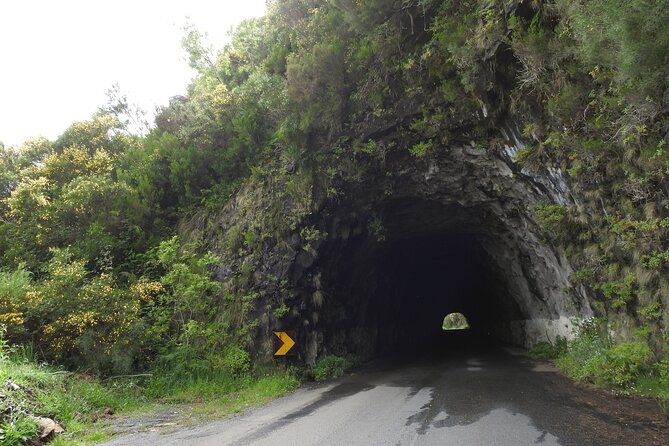 Madeira 4x4 Jeep Safari : Porto Moniz, Lava Pools & Fanal Forest - Who this tour fits best (and who might prefer something else)