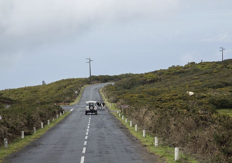 Madeira: Amazing West - Porto Moniz - Paul da Serra: the big plateau and the off-road fun