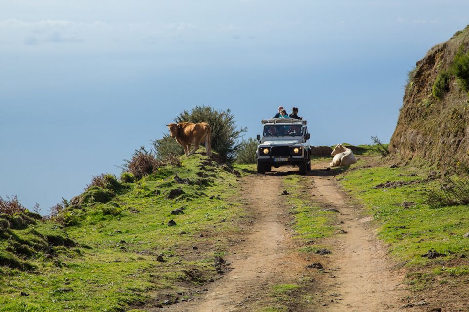 Madeira: Amazing West - Porto Moniz - Serra d’Água valley and the south-coast sweep back