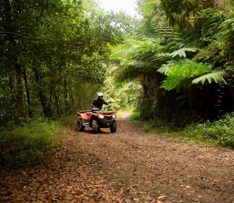 Madeira: Aventura Off-Road de ATV ou Quad - Adrenalina - Why Madeira by Quad Feels Different Than a Car Ride