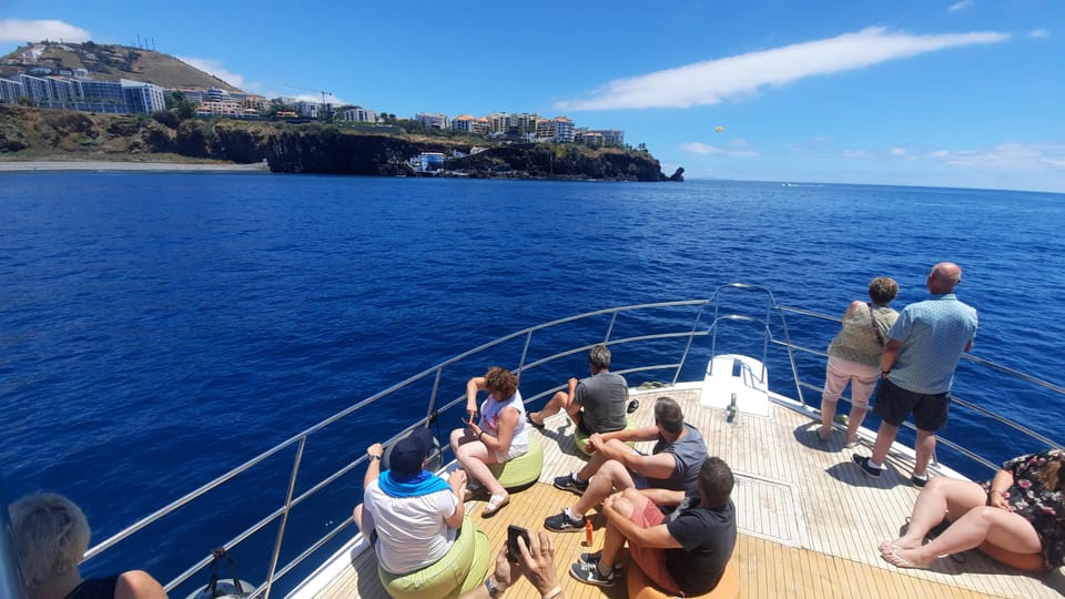 Madeira: Boat Trip with Lunch, Drinks, and Hotel Transfer - Wildlife Chances: Dolphins Are Common, Whales Can Happen