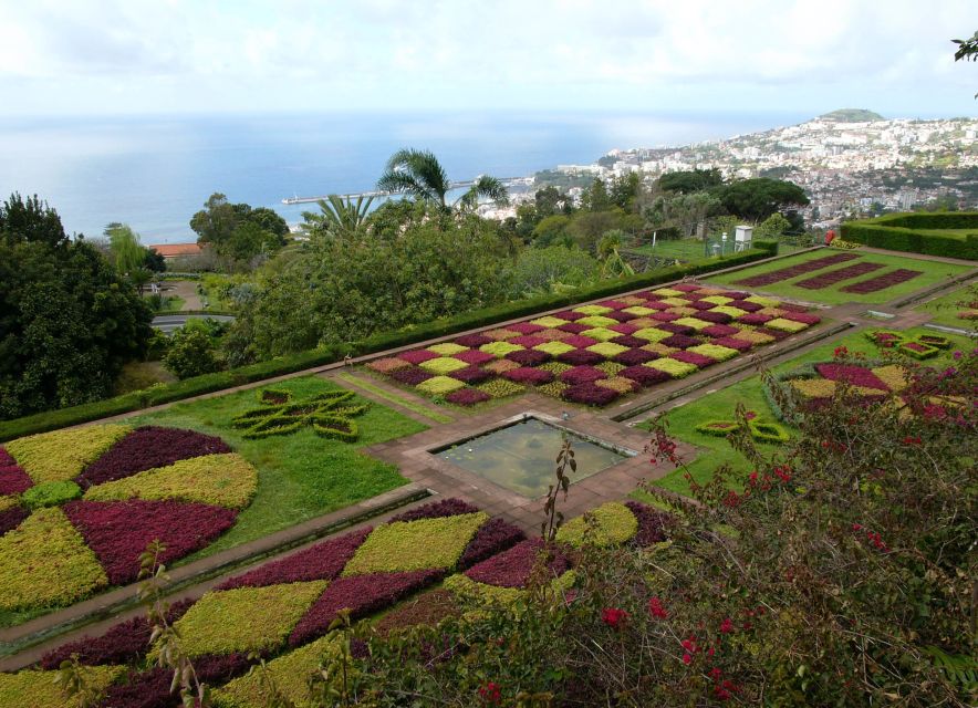Madeira: Botanical Garden in a Tuk-Tuk Tour - The Botanical Garden stop: how to use your time well